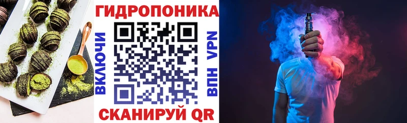 Cannafood конопля  Купить закладки  Новотроицк 