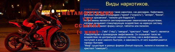 прущие грибы Зерноград