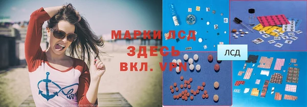 прущие грибы Зерноград