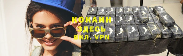 прущие грибы Зерноград