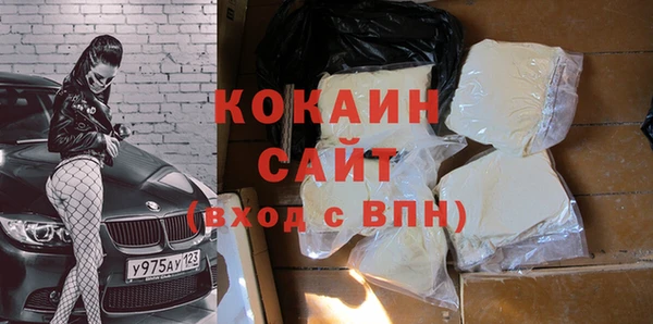 прущие грибы Зерноград