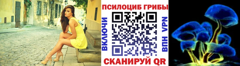 Псилоцибиновые грибы Psilocybine cubensis  Купить где  Новотроицк 