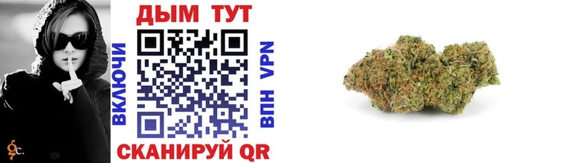 Купить закладки  Новотроицк  Каннабис марихуана 